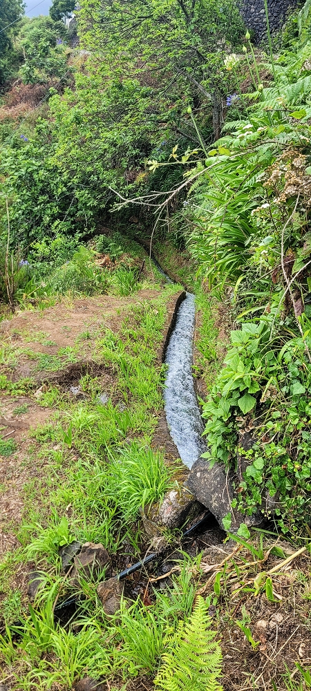 Levada da Achada do Beirão — Die Levadateilung — Foto 3