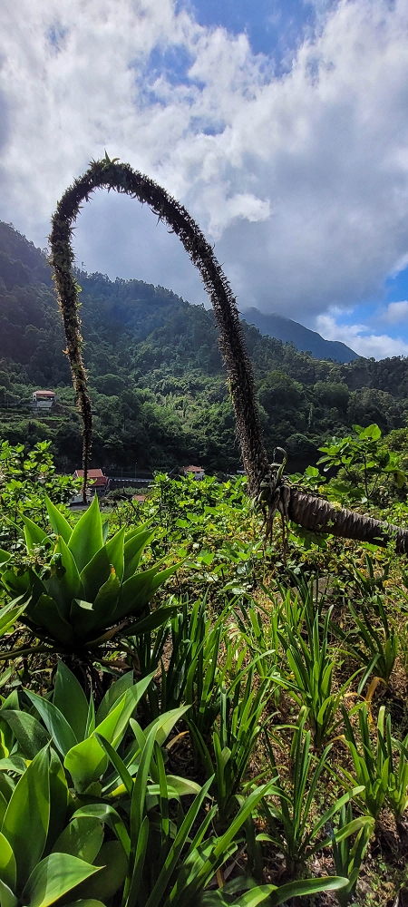 15 May 2022 Big loop in the eastern São Vicente valley — Back to Rosario — photo 5