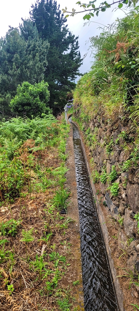 Levada da Achada do Beirão — Weiter bis zum Ende des Hauptastes — Foto 1