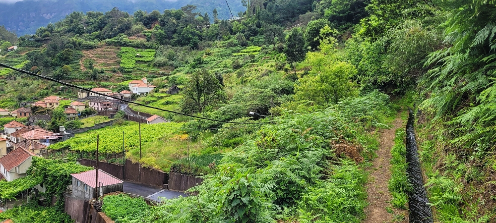 Levada da Achada do Beirão — Weiter auf schmalen Mäuerchen und durch grüne Felder — Foto 2