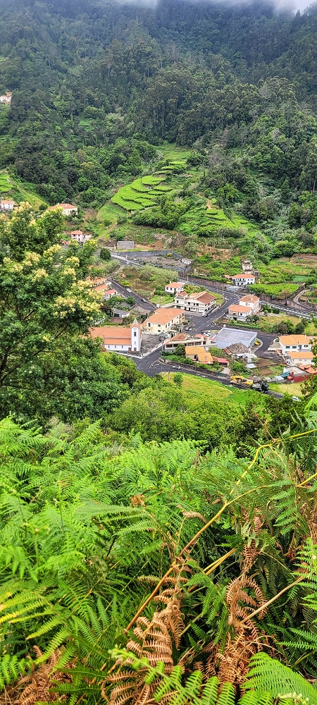 Levada da Achada do Beirão — Weiter bis zum Ende des Hauptastes — Foto 2