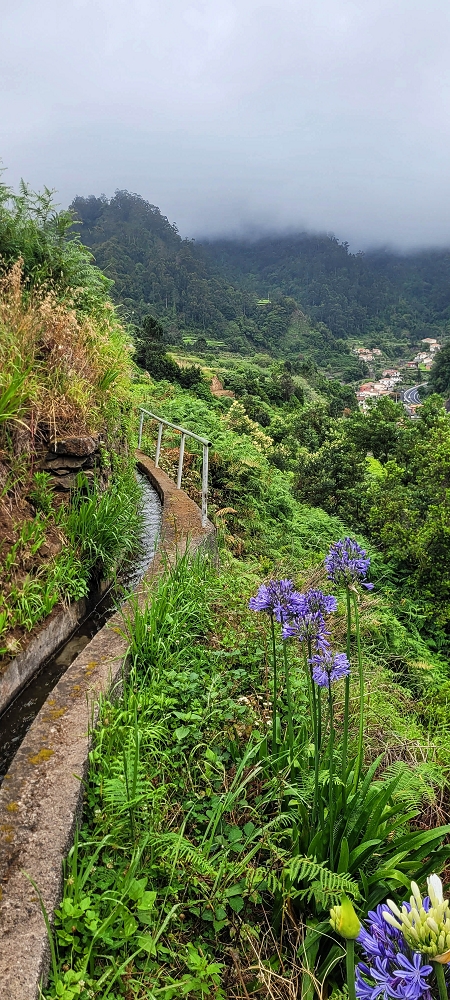 Levada da Achada do Beirão — Weiter bis zum Ende des Hauptastes — Foto 3
