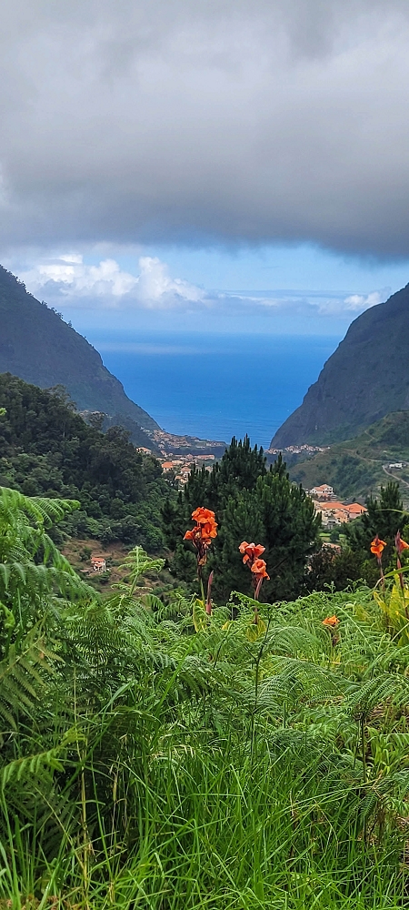 Levada da Achada do Beirão — Weiter bis zum Ende des Hauptastes — Foto 5