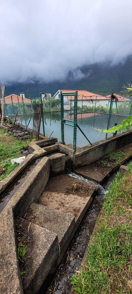Levada da Achada do Beirão — Weiter bis zum Ende des Hauptastes — Foto 6