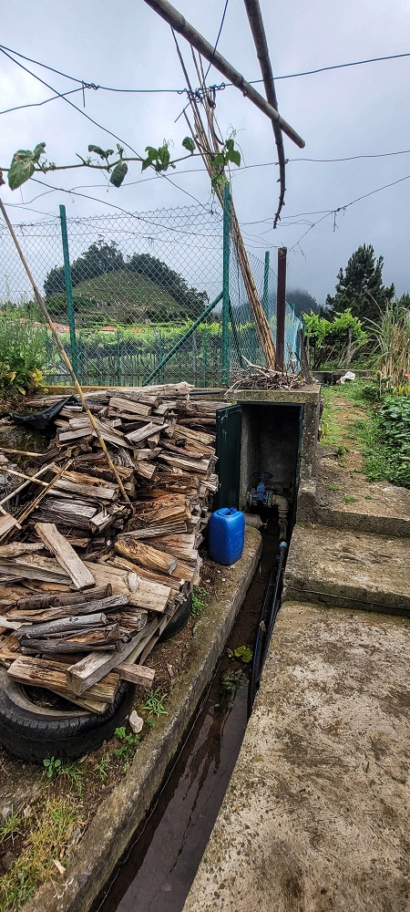 Levada da Achada do Beirão — Weiter bis zum Ende des Hauptastes — Foto 7