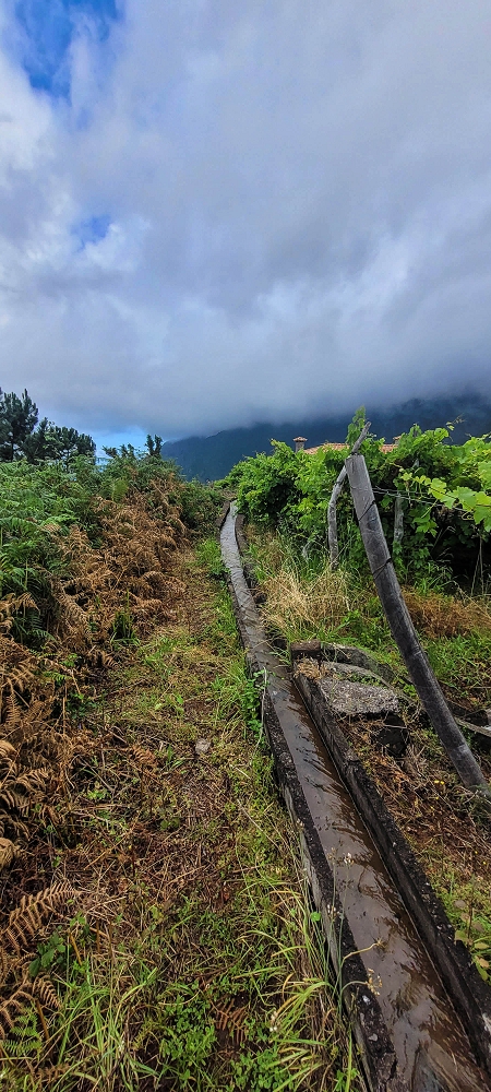 Levada da Achada do Beirão — Weiter bis zum Ende des Hauptastes — Foto 9