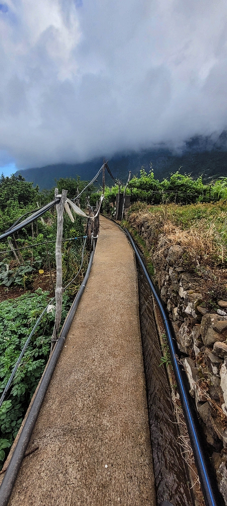 Levada da Achada do Beirão — Weiter bis zum Ende des Hauptastes — Foto 10