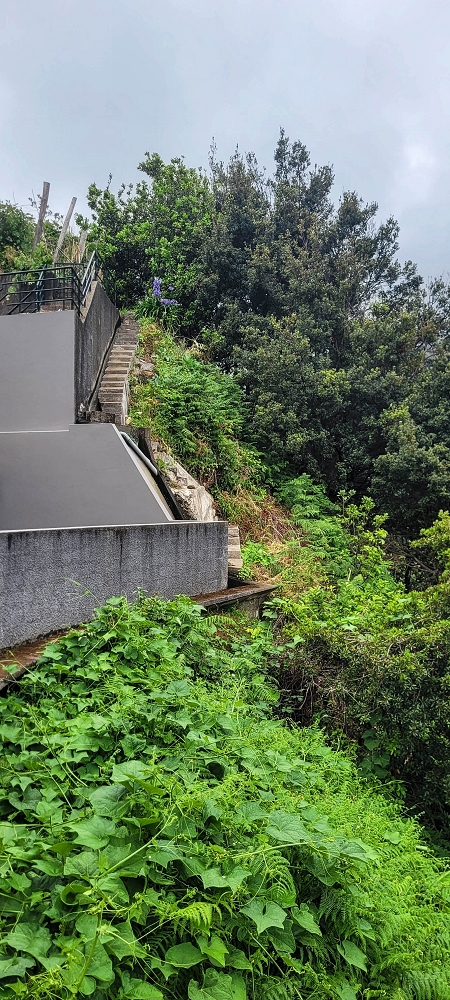 Levada da Achada do Beirão — Weiter bis zum Ende des Hauptastes — Foto 12
