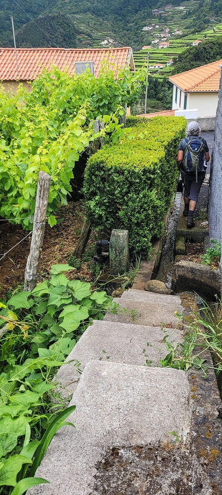 Levada da Achada do Beirão — Weiter bis zum Ende des Hauptastes — Foto 13