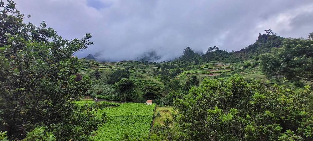 15 May 2022 Big loop in the eastern São Vicente valley — Descent to Ribeira Grande and ascent to Achada do Til — photo 3