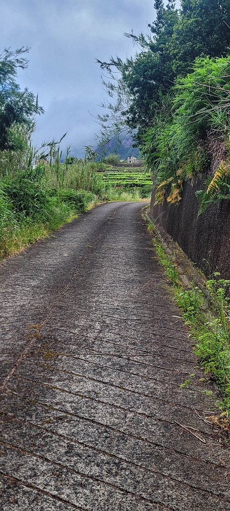 15 May 2022 Big loop in the eastern São Vicente valley — Descent to Ribeira Grande and ascent to Achada do Til — photo 5