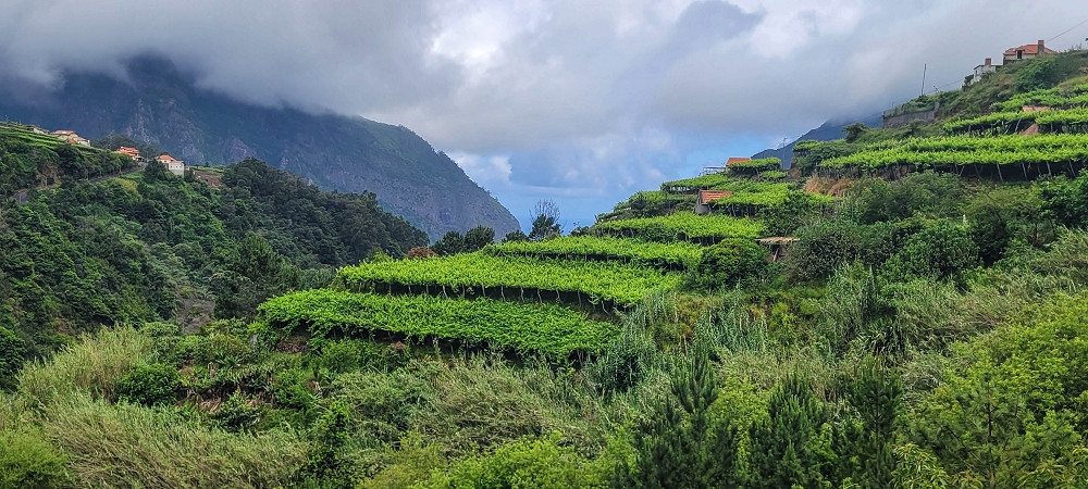 15 May 2022 Big loop in the eastern São Vicente valley — Descent to Ribeira Grande and ascent to Achada do Til — photo 6