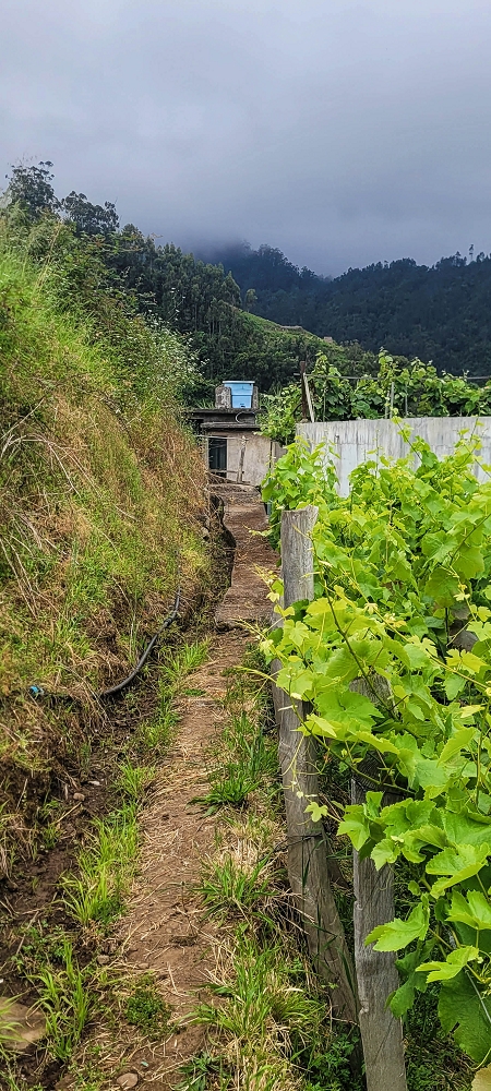 15 May 2022 Big loop in the eastern São Vicente valley — This is the wrong start... — photo 1