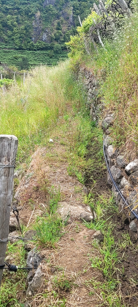 15 May 2022 Big loop in the eastern São Vicente valley — This is the wrong start... — photo 2