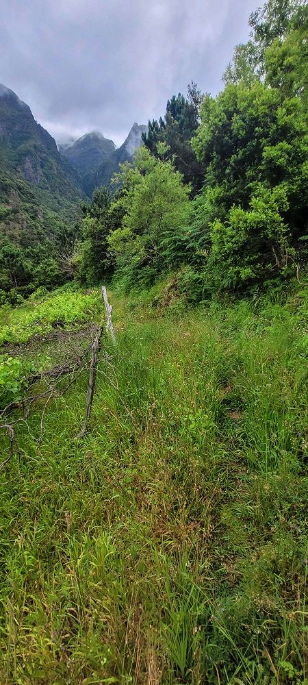 15 May 2022 Big loop in the eastern São Vicente valley — Valley crossing and ascent to Achadinha — photo 5