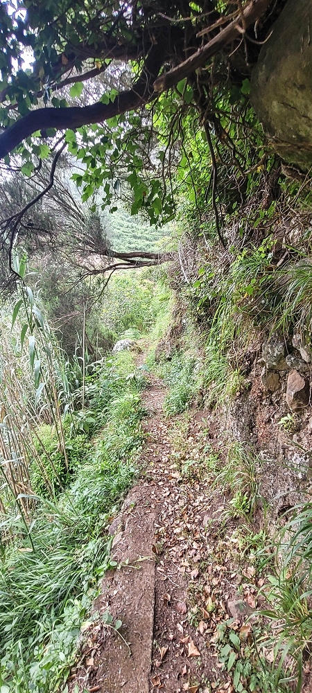 15 May 2022 Big loop in the eastern São Vicente valley — Valley crossing and ascent to Achadinha — photo 8