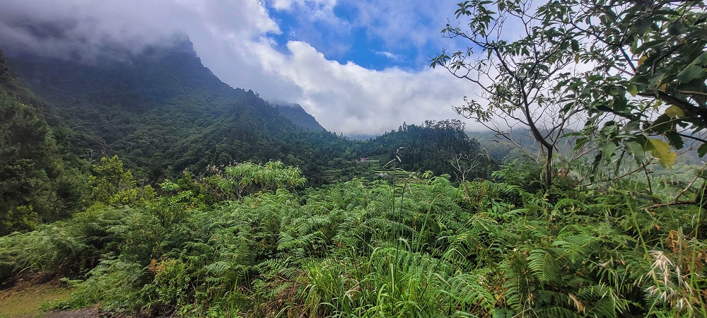15 May 2022 Big loop in the eastern São Vicente valley — Valley crossing and ascent to Achadinha — photo 16