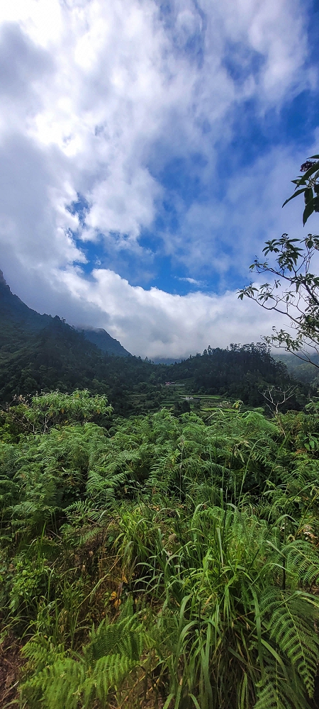 15 May 2022 Big loop in the eastern São Vicente valley — Valley crossing and ascent to Achadinha — photo 17