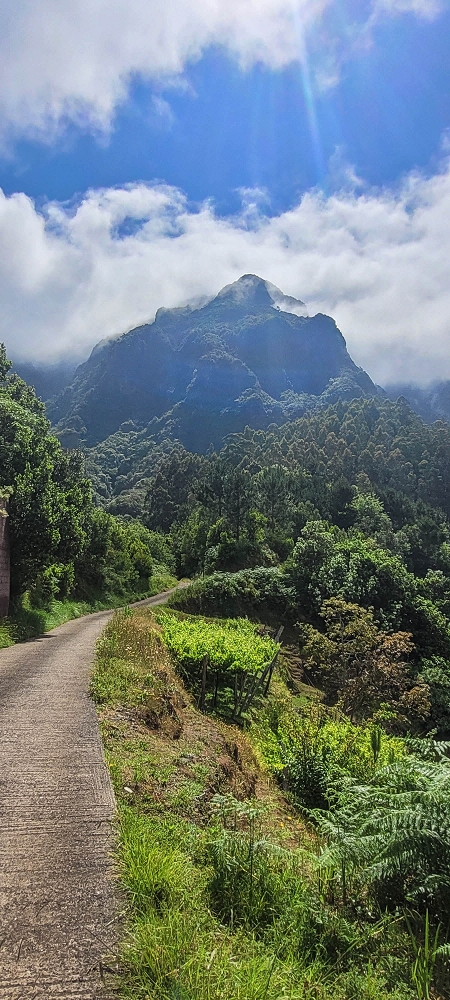 15 May 2022 Big loop in the eastern São Vicente valley — Valley crossing and ascent to Achadinha — photo 20