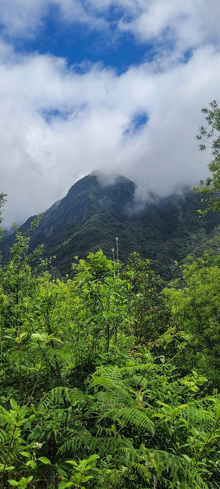 15 May 2022 Big loop in the eastern São Vicente valley — On the scenic Caminho Pé da Rocha — photo 2