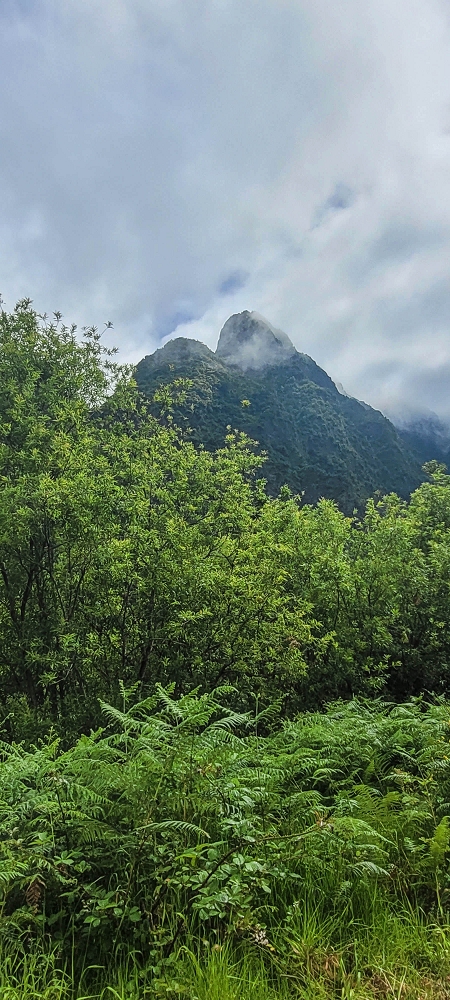 15 May 2022 Big loop in the eastern São Vicente valley — On the scenic Caminho Pé da Rocha — photo 3