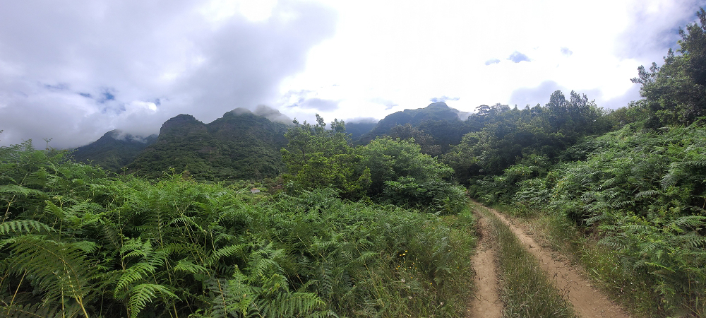15 May 2022 Big loop in the eastern São Vicente valley — On the scenic Caminho Pé da Rocha — photo 4