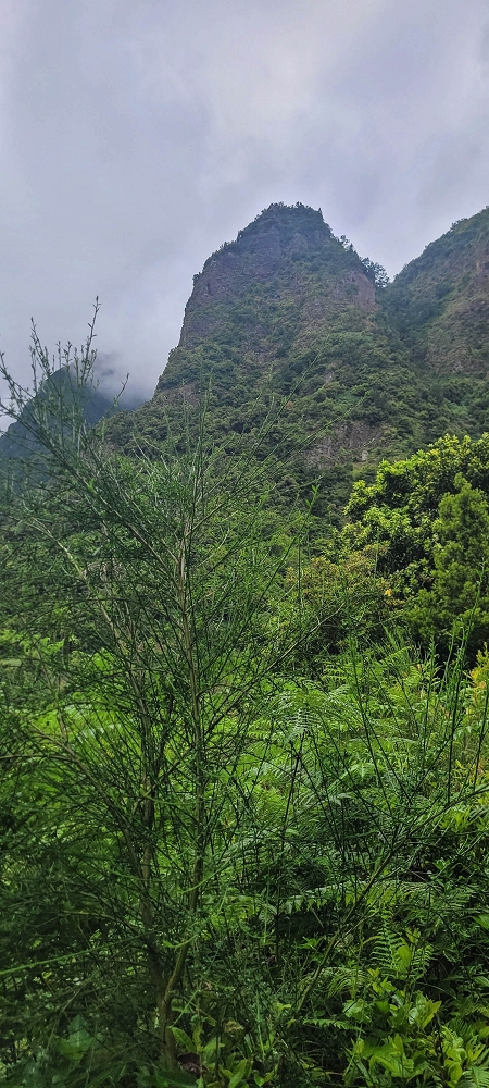 15 May 2022 Big loop in the eastern São Vicente valley — On the scenic Caminho Pé da Rocha — photo 5