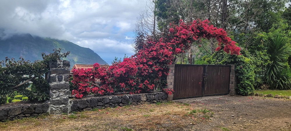 15 May 2022 Big loop in the eastern São Vicente valley — On the scenic Caminho Pé da Rocha — photo 6