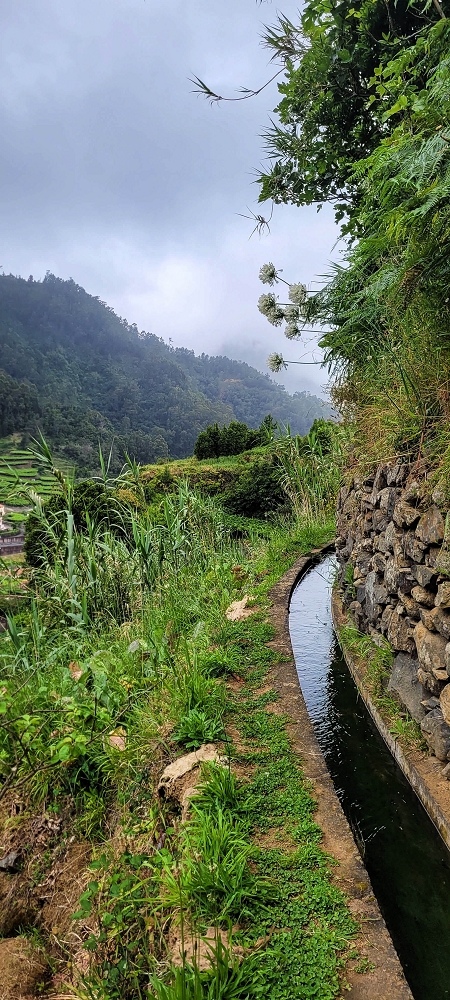 Levada da Achada do Beirão — Weiter auf schmalen Mäuerchen und durch grüne Felder — Foto 7