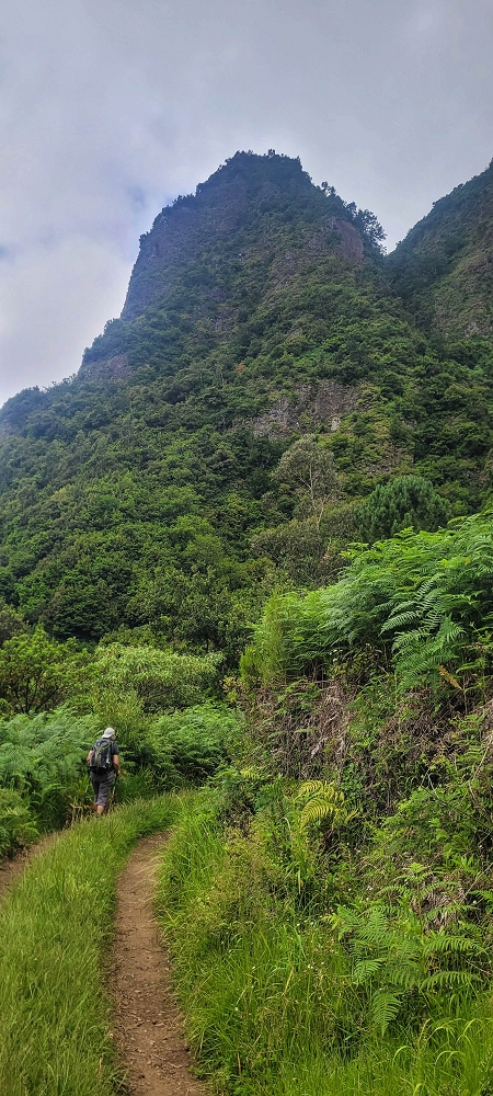 15 May 2022 Big loop in the eastern São Vicente valley — On the scenic Caminho Pé da Rocha — photo 9