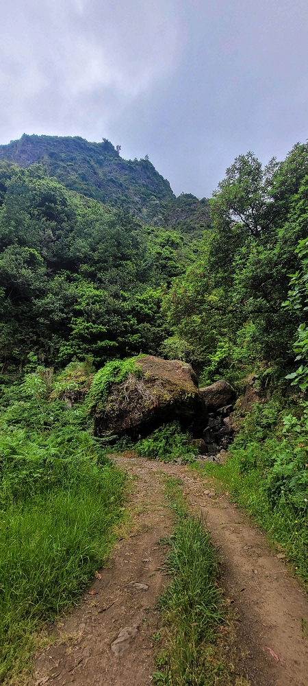 15 May 2022 Big loop in the eastern São Vicente valley — On the scenic Caminho Pé da Rocha — photo 11
