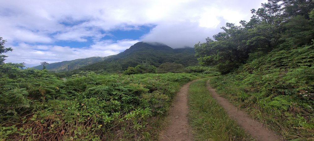 15 May 2022 Big loop in the eastern São Vicente valley — On the scenic Caminho Pé da Rocha — photo 13