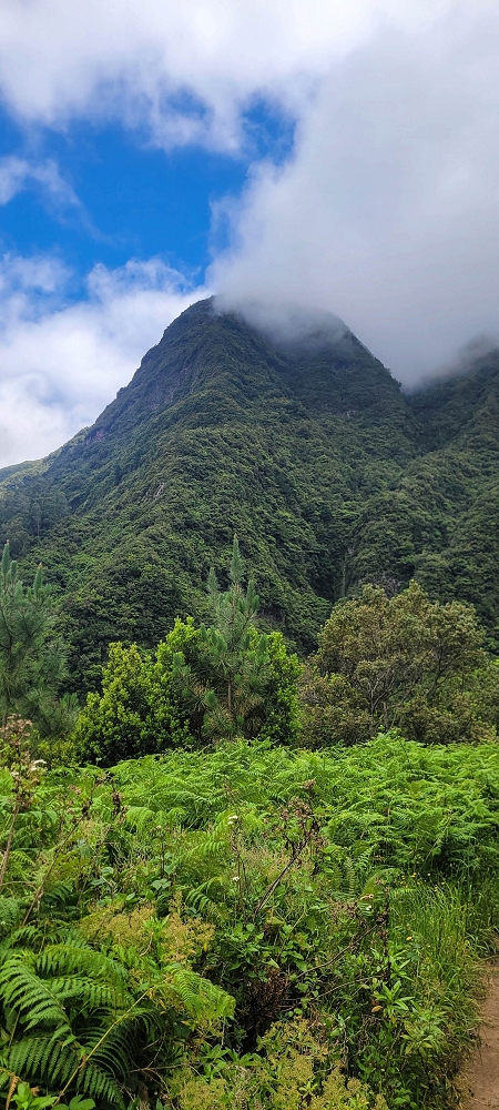 15 May 2022 Big loop in the eastern São Vicente valley — On the scenic Caminho Pé da Rocha — photo 14