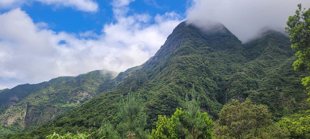 15 May 2022 Big loop in the eastern São Vicente valley — On the scenic Caminho Pé da Rocha — photo 15
