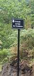 15 May 2022 Big loop in the eastern São Vicente valley — On the scenic Caminho Pé da Rocha — photo 16