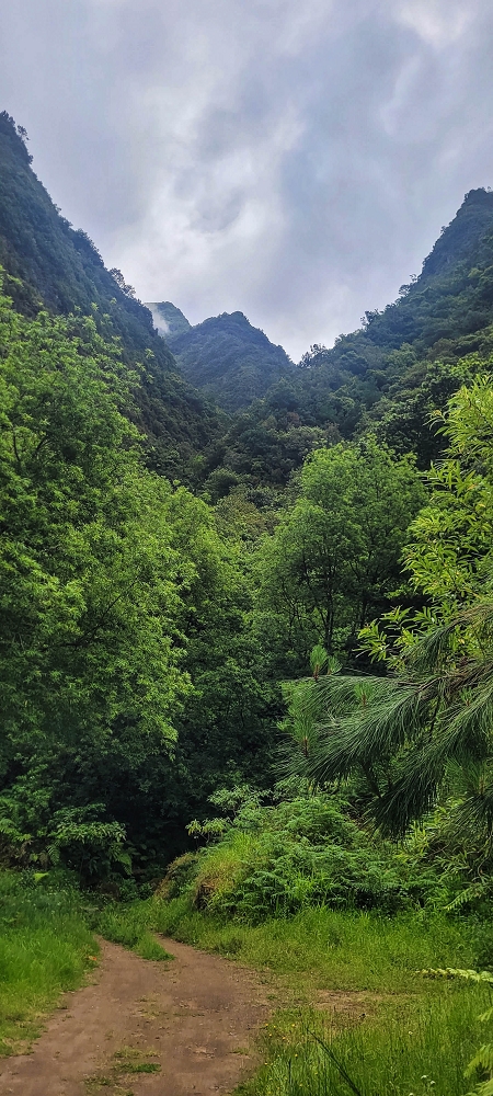 15 May 2022 Big loop in the eastern São Vicente valley — The start of the Vereda da Faja dos Vinhaticos — photo 2