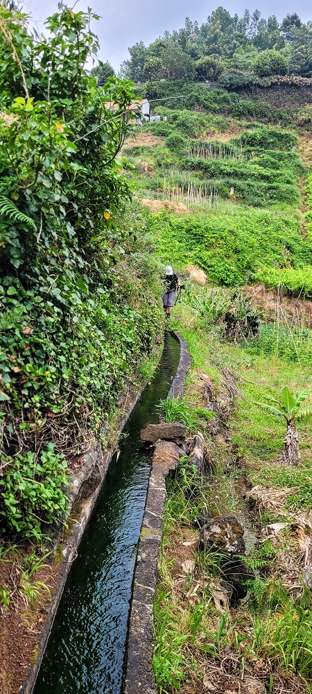 Levada da Achada do Beirão — Weiter auf schmalen Mäuerchen und durch grüne Felder — Foto 9