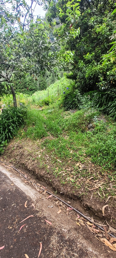 15 May 2022 Big loop in the eastern São Vicente valley — The start of the Vereda da Maruja — photo 2