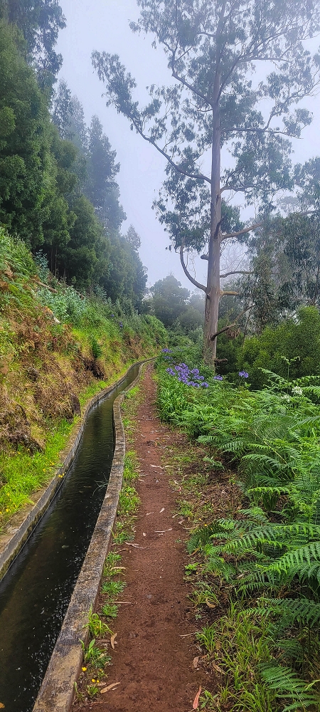15.06.2024 Vom Kraftwerk zu meinem Kraftort — Vom Caminho de Cales e Cheda zur Querung des westlichen Astes der Ribeira da Madalena — Foto 1