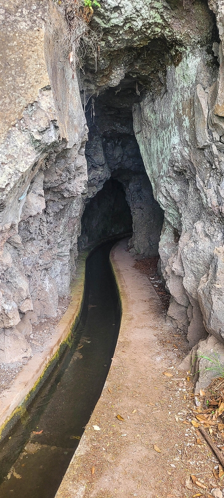 15.06.2024 Vom Kraftwerk zu meinem Kraftort — Vom Caminho de Cales e Cheda zur Querung des westlichen Astes der Ribeira da Madalena — Foto 2
