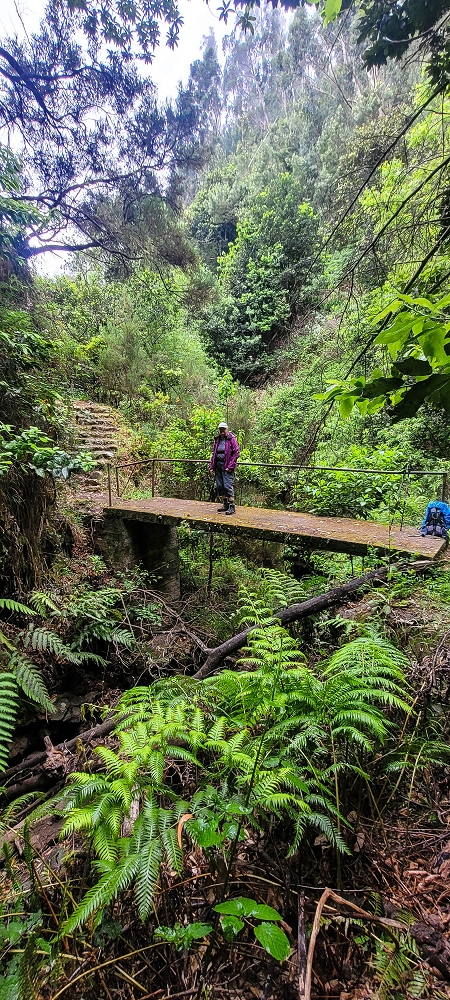 15.06.2024 Vom Kraftwerk zu meinem Kraftort — Vom Caminho de Cales e Cheda zur Querung des westlichen Astes der Ribeira da Madalena — Foto 5