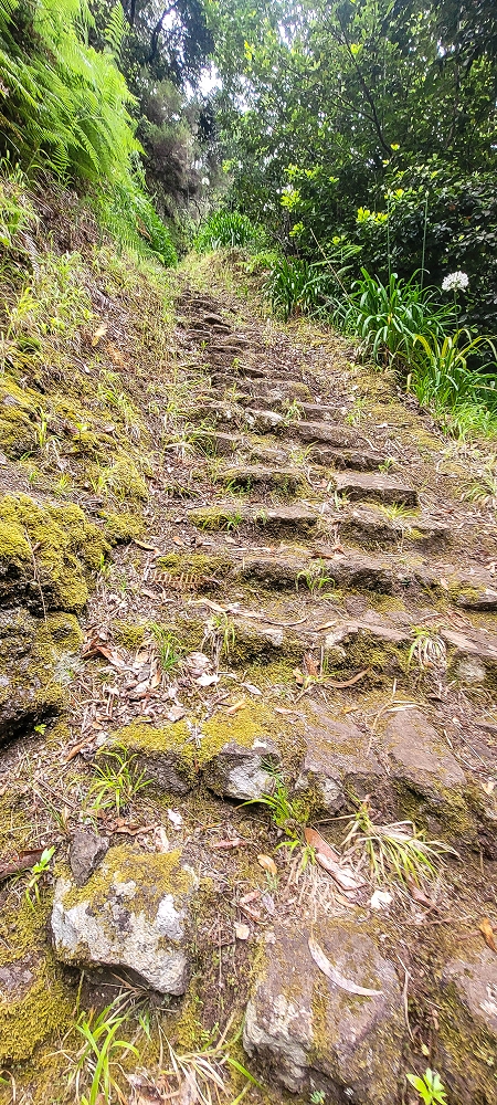 15.06.2024 Vom Kraftwerk zu meinem Kraftort — Vom Caminho de Cales e Cheda zur Querung des westlichen Astes der Ribeira da Madalena — Foto 6