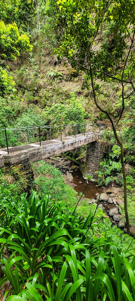15.06.2024 Vom Kraftwerk zu meinem Kraftort — Weiter zur ganz östlichen Querung der Ribeira da Madalena — Foto 1