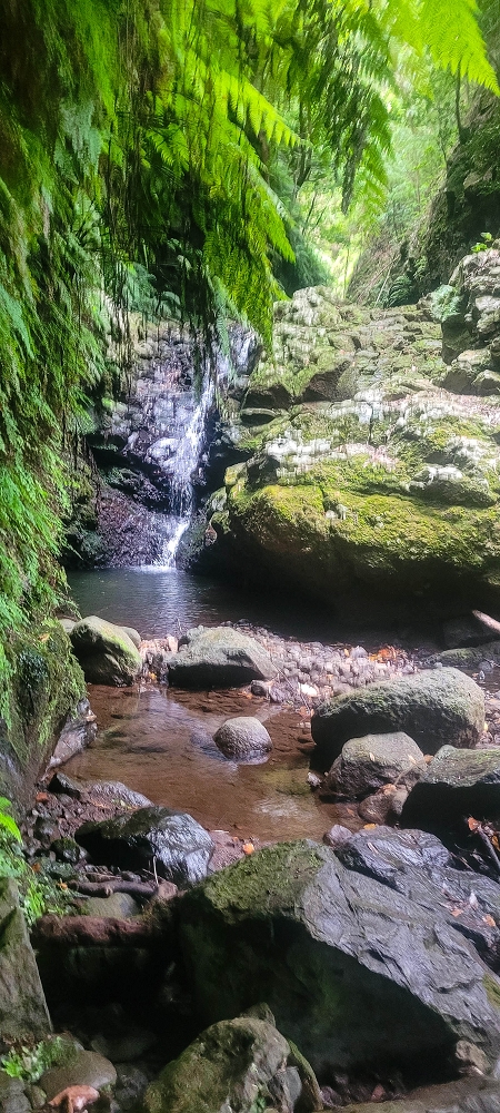 15.06.2024 Vom Kraftwerk zu meinem Kraftort — Zurück zu meinem Kraftort im östlichen Hauptast der Ribeira da Madalena zur ganz östlichen Querung der Ribeira da Madalena — Foto 1