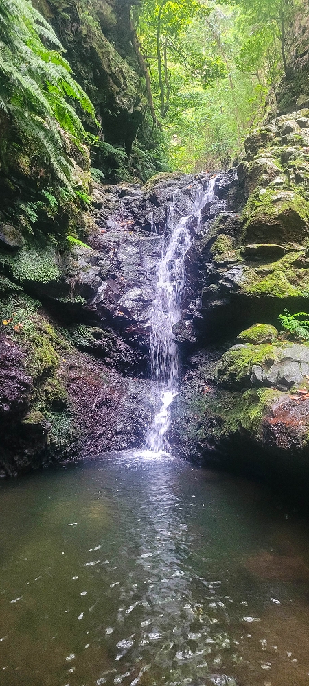 15.06.2024 Vom Kraftwerk zu meinem Kraftort — Zurück zu meinem Kraftort im östlichen Hauptast der Ribeira da Madalena zur ganz östlichen Querung der Ribeira da Madalena — Foto 3