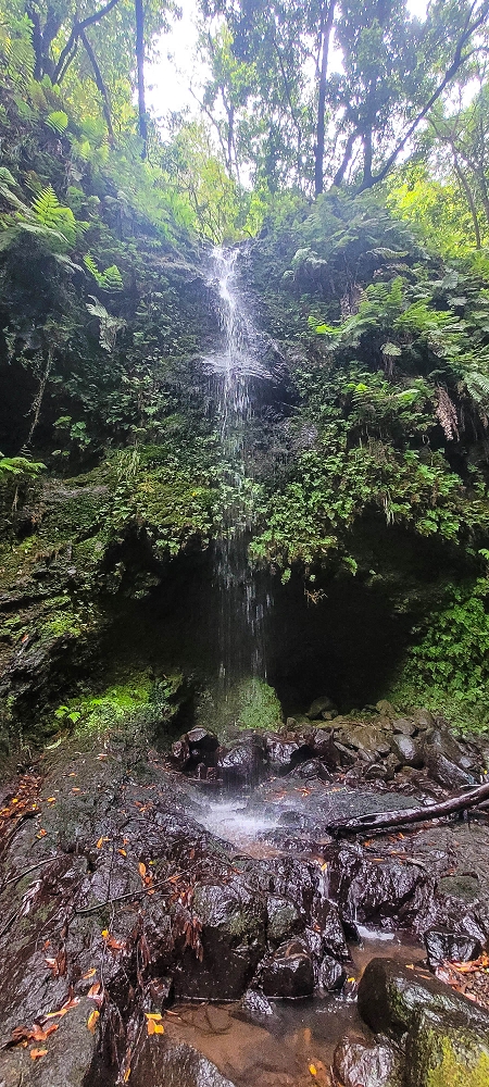 15.06.2024 Vom Kraftwerk zu meinem Kraftort — Zurück zu meinem Kraftort im östlichen Hauptast der Ribeira da Madalena zur ganz östlichen Querung der Ribeira da Madalena — Foto 5