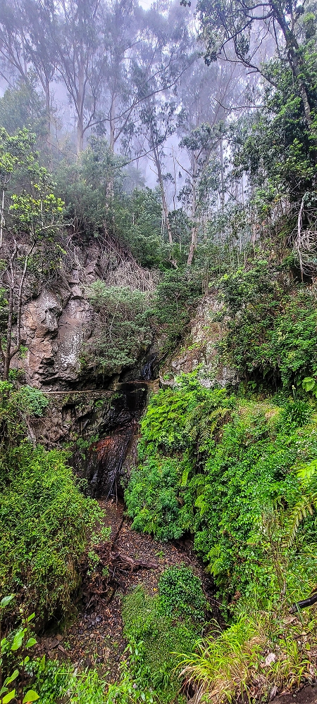 15.06.2024 Vom Kraftwerk zu meinem Kraftort — Vom Caminho de Cales e Cheda zur Querung des westlichen Astes der Ribeira da Madalena — Foto 8