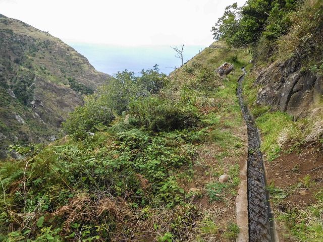 15.08.2017 Rundwanderung in Achadas da Cruz — Zur Madre der Levada dos Pombais inf und zurück zum Pfad zur oberen Levada — Foto 39