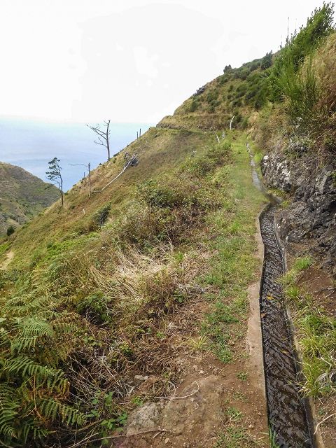 15.08.2017 Rundwanderung in Achadas da Cruz — Zur Madre der Levada dos Pombais inf und zurück zum Pfad zur oberen Levada — Foto 40