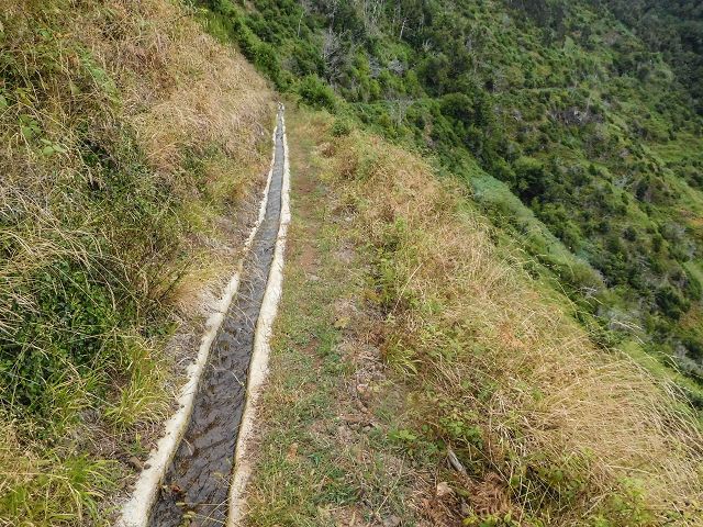 15.08.2017 Rundwanderung in Achadas da Cruz — Zur Madre der Levada dos Pombais sup und zurück zum Pfad zum Miradouro dos Pombais — Foto 2